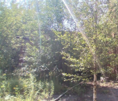 ОСЗ 1207 кв м Спортивная улица, 15